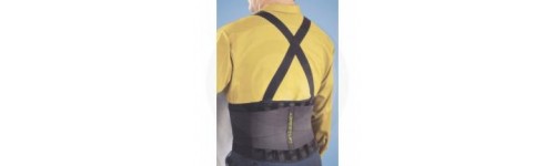 Back Support