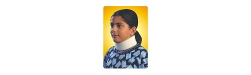 Neck