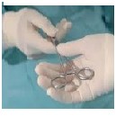 LATEX EXAMINATION GLOVES POWDER-FREE L