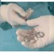 LATEX EXAMINATION GLOVES POWDER-FREE L