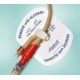 Catheter Stabilization Device 